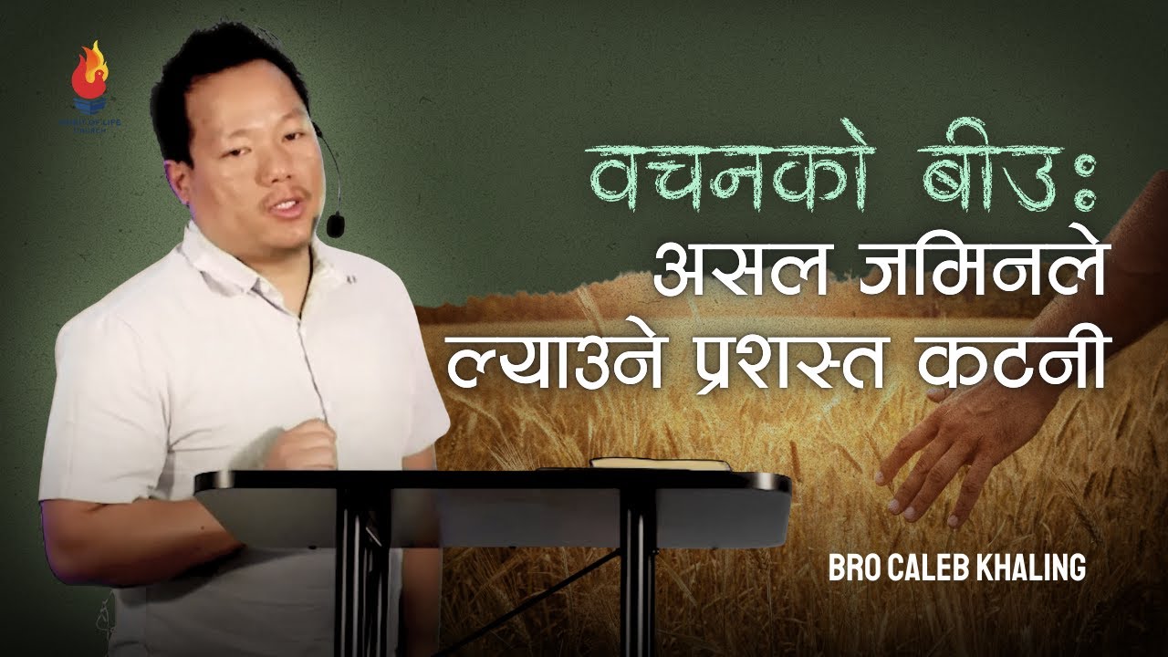 🌾 God’s Word: Fruitful Seed